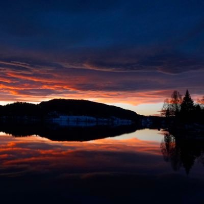 betrakter's profile picture. 