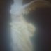 ardita battaglia mori spion (@morispion) Twitter profile photo ardita battaglia mori spion (@morispion) Twitter profile photo