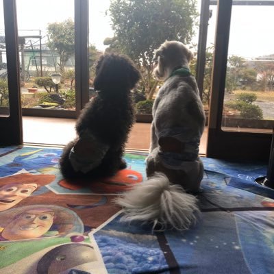 WxUaZiFiRgmlZCU's profile picture. ららら