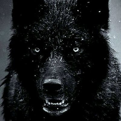 Vcmaster70's profile picture. 