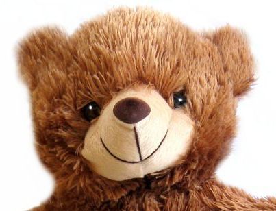 PartyBear_FL's profile picture. We supply stuffable 16 inch animals for parties and philanthropic events. Kids love our soft and cuddly creatures. Visit our web site and ask for details.