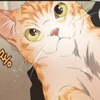 부찌 (@cheese_buzzi) 's Twitter Profile Photo 부찌 (@cheese_buzzi) 's Twitter Profile Photo