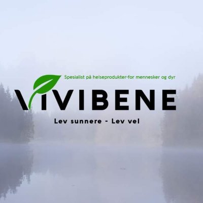 Vivibene AS