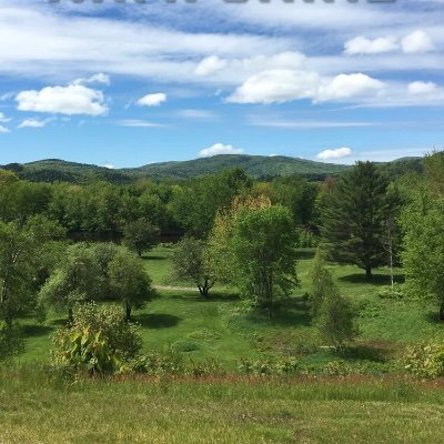 CoachDauphinais's profile picture. Views are my own.