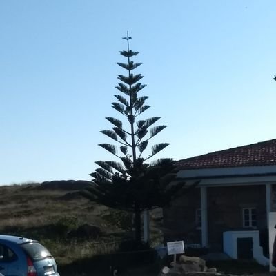 Masthei64's profile picture. #rugby, #Pau