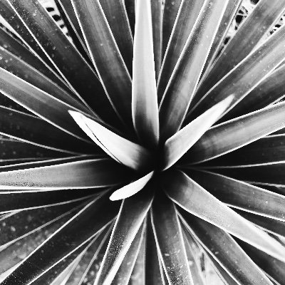 Natinbilico's profile picture. In periferia.