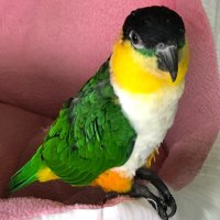 JGardne (@jn_eclipse) 's Twitter Profile