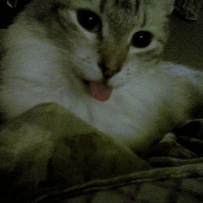 steve77g's profile picture. 