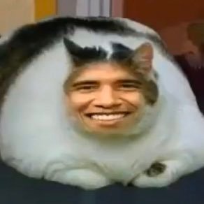 Domo44003311's profile picture. I’m here for the meme