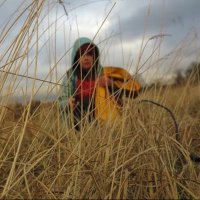 alisonclloyd (@alisonclloyd1) 's Twitter Profile Photo alisonclloyd (@alisonclloyd1) 's Twitter Profile Photo