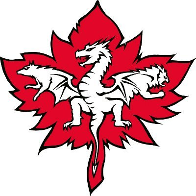 WaldritterB's profile picture. Spielerisch + kreativ lernen ist unser Motto. #Rollenspiele + #Pädagogik verbinden wir mit politischer Bildung.
#pnpde #DnD #eduRPG #Larp #PolBil