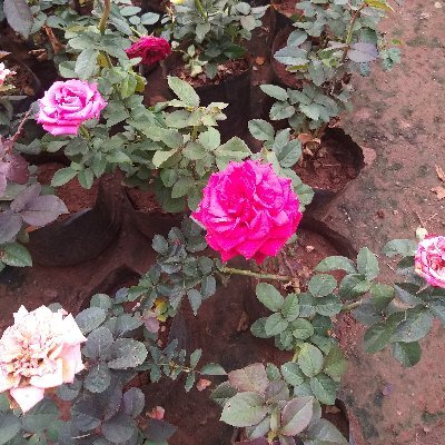 mohammedskhan91's profile picture. 