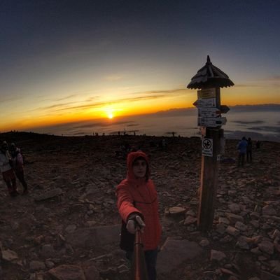 Jevkovsky's profile picture. 