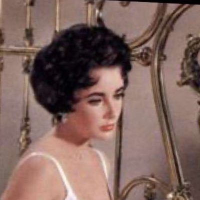 No_98sa's profile picture. 👩🏻‍💻💕