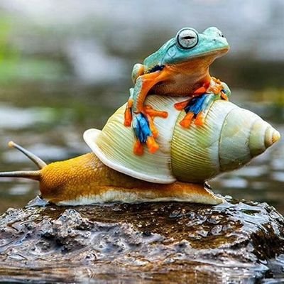 tosen199003's profile picture. 