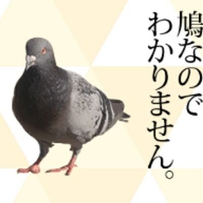 座礁＝座四＝浦工＝社会人
Music:UVER.Mrs.Vocaloid
Game:APEX.R6S.DOA6.DRS.ミトラ.Cytus
【今年のライブ:Voc 8/30.9/1
UVER 12/20.21】