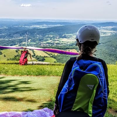 leadevecchi's profile picture. 