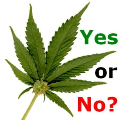 quality loud exotics cannabis for depression,anxiety, pains,insomnia etc.