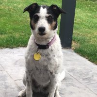 Poppy Moodz (@moodypoppy) 's Twitter Profile