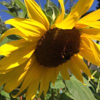 2nd Grade Team Dr. Charles T. Lunsford School 19 (@thirdgradeteam2) 's Twitter Profile Photo