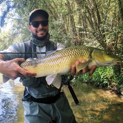 Mafteer's profile picture. Web Developer.