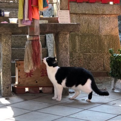 _RinP_'s profile picture. 