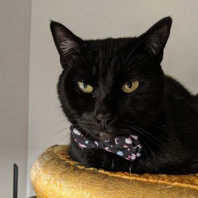 IrkenSkin's profile picture. 