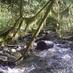 Mossom Creek Hatchery (@mossomcreek) Twitter profile photo Mossom Creek Hatchery (@mossomcreek) Twitter profile photo