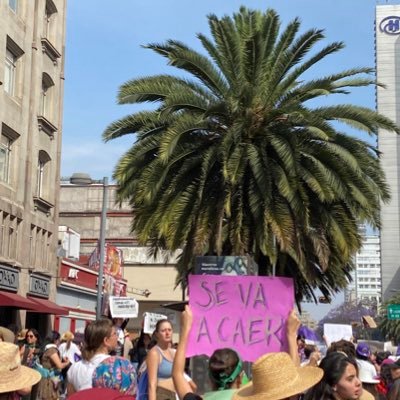 erirazo's profile picture. Explorando nuevos horizontes