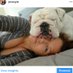 Jen Royle (@jen_royle) Twitter profile photo Jen Royle (@jen_royle) Twitter profile photo