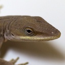 Mark Terry - @malacca73 - Twitter