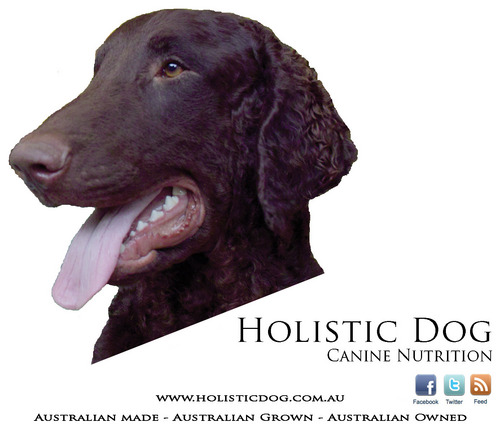 holisticdogau's profile picture. Holistic Dog Canine Nutrition
Australian Made, Australian Grown, Australian Owned