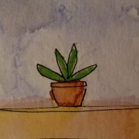 potted plant π± (@rosehip_neuron) 's Twitter Profile