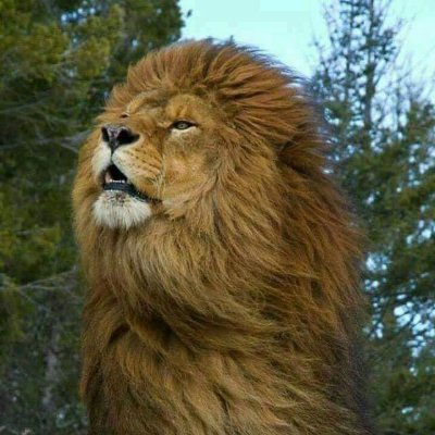 daniel555007's profile picture. "כשאתה רוקד על אחרים תהיה מוכן שירקדו עליך"

יהודי חילוני ✡️

אשכנזי גאה 👱🏼‍♂️

ימני אוהב ישראל 🇮🇱

עוסק בהייטק 🎱
    
מתעב לחלוטין את כת הזומבים מקפלן 🧟