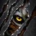 hiloxi (@hiloxi3) Twitter profile photo hiloxi (@hiloxi3) Twitter profile photo