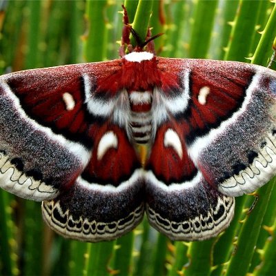 Shi80686658's profile picture. 