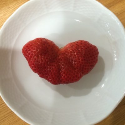 radiant_oirchid's profile picture. アカーン！！！の！！！アカーウント！！！https://t.co/olXCneWf2K…