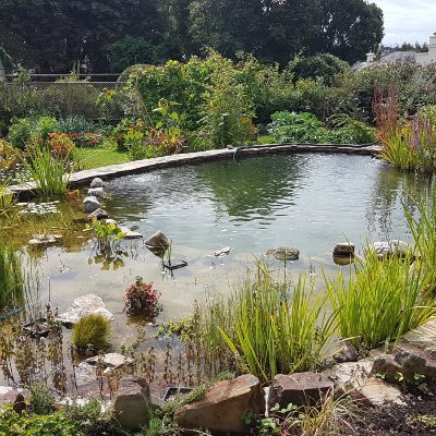 WorksLime's profile picture. We're professionals in landscaping, stonework, ponds, paving & interior home refurbishments. We cover Plymouth, Sth Hams Sth East Cornwall. Call 07967 139492
