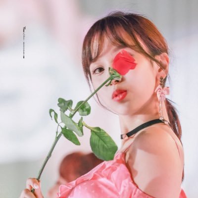 ym509sc's profile picture. 