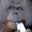 nikitoy_s's profile image