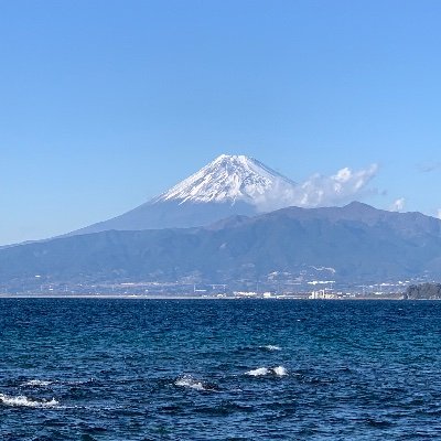 純日本人🇯🇵愛国者・右派 /祖父・曽祖父は職業軍人/大日本帝国海軍・海上自衛隊の軍艦に興味あり/愛犬家🐶/無言フォロー失礼いたします/写真は🎌戦艦大和(奥)と姉妹艦戦艦武蔵(手前)🎌 鍵アカはフォローしておりません/非接種/無宗教