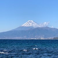 Chibitaro-JPN🌅 (@chibitaroj) 's Twitter Profile