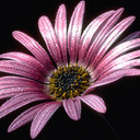 Laura Breslin - @lbreslin13 - Twitter