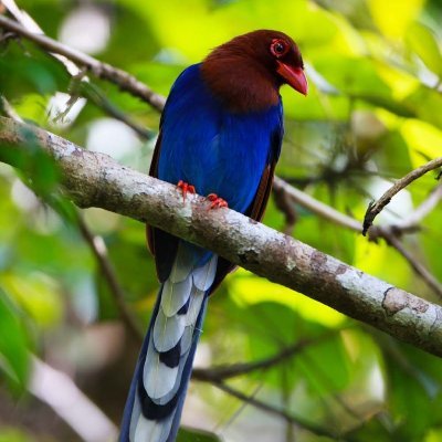 pVEqgaIJ2LgXpk3's profile picture. 