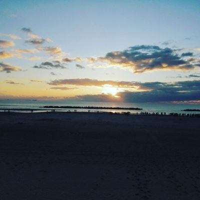 complexnumber19's profile picture. 仙台第一→東北大情物