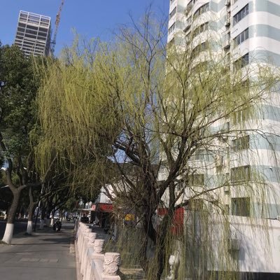 zero9122's profile picture. 