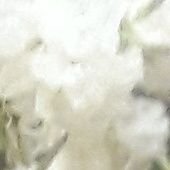 أبو الحوراء (@mwoppdyodtqttuu) 's Twitter Profile