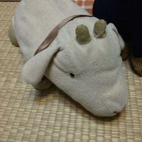 ひら (@spe_r15) 's Twitter Profile