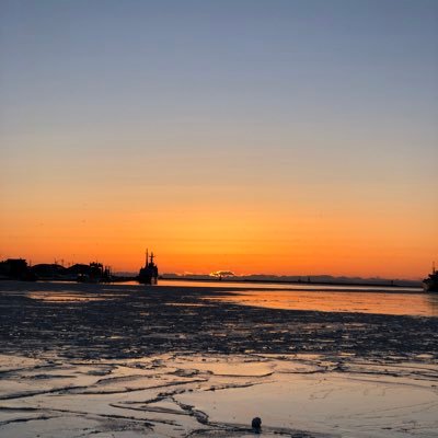 mirror2267's profile picture. I live because I love