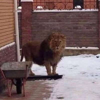 jellvfish's profile picture. 